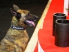 Bomb Sniffing Dog at OTC