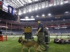 Bomb Detection K9 at NRG Stadium in Houston