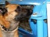 Explosives Detection for OTC Houston