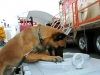 Drug Detection K9 for Houston Texans